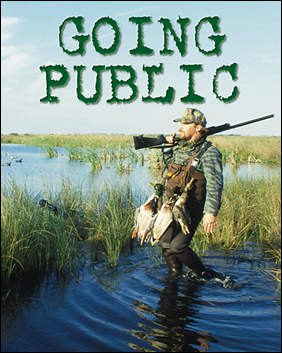 Going Public