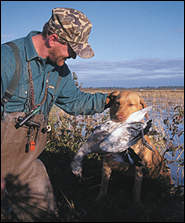 Capt. Troy Coleman's yellow lab Amber gets an appreciative ear-scratch for a job well done.