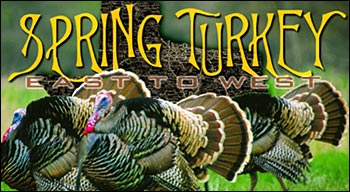 Spring Turkey